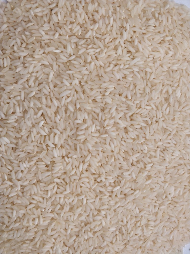 Creamy White Sona Masoori Rice, Gujarat Quality