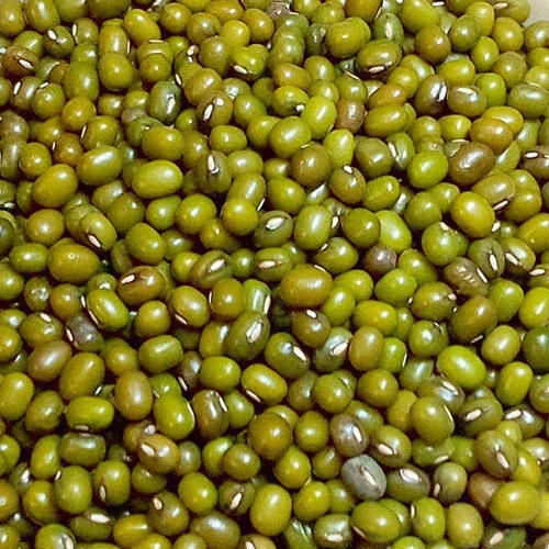 Whole Green Moong Dal, Packaging Size: 50 Kg, High in Protein