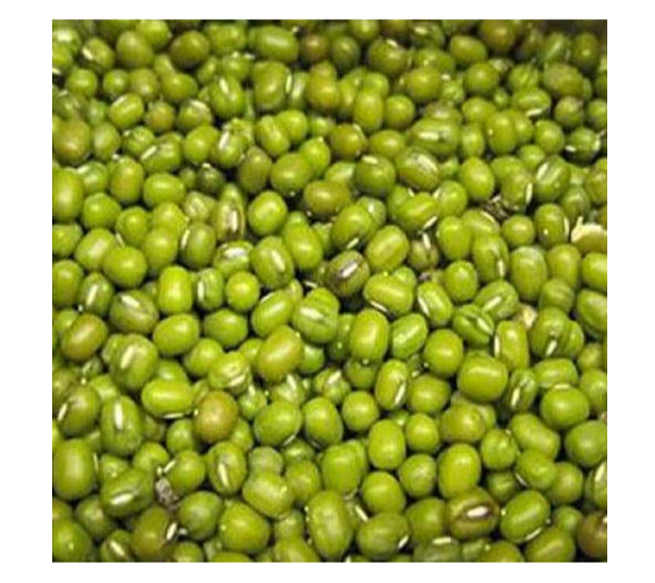 Organic Green Moong Dal, India, Packaging Size: 25 Kg
