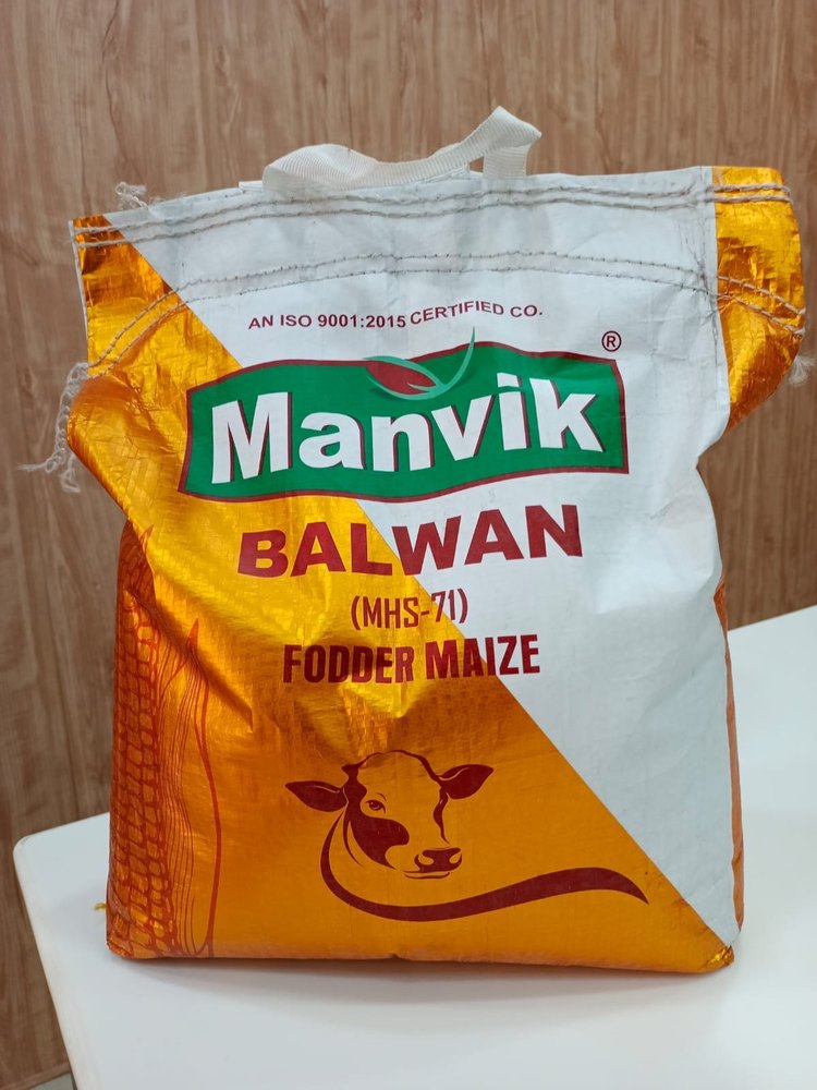 Manvik Balwan