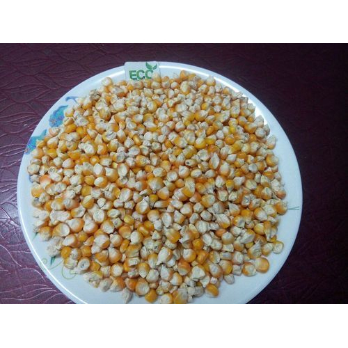 Eco Hybrid Yellow Maize, For Animal Feed, Packaging Type: PP Bag