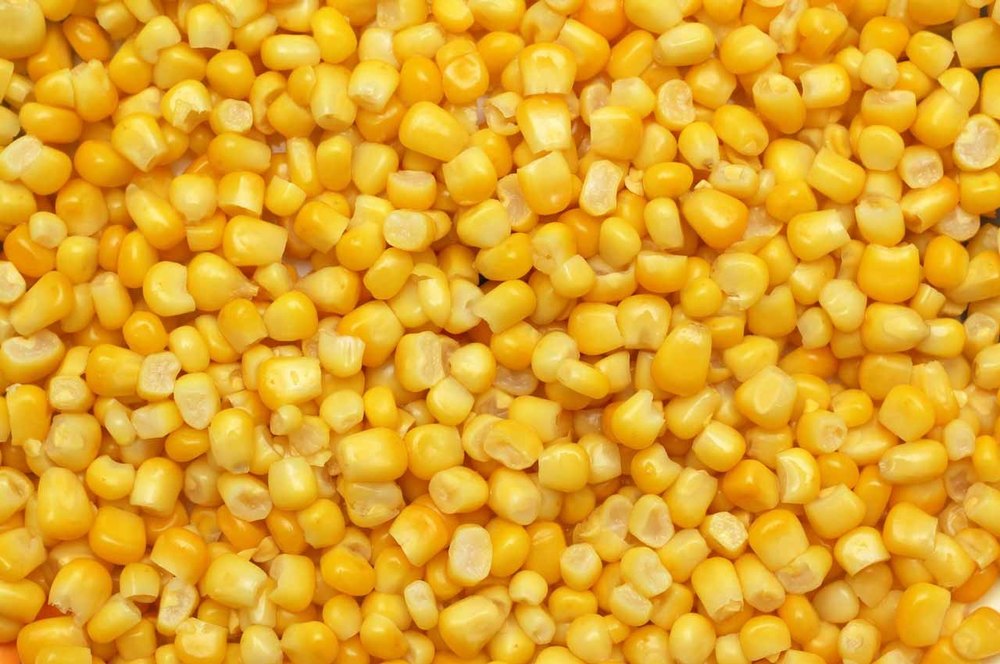 A Grade Yellow Corn, Carton