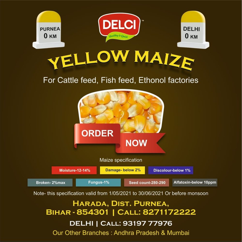Hybrid Yellow Maize, 14 % Max, Packaging Size: 59 K.g