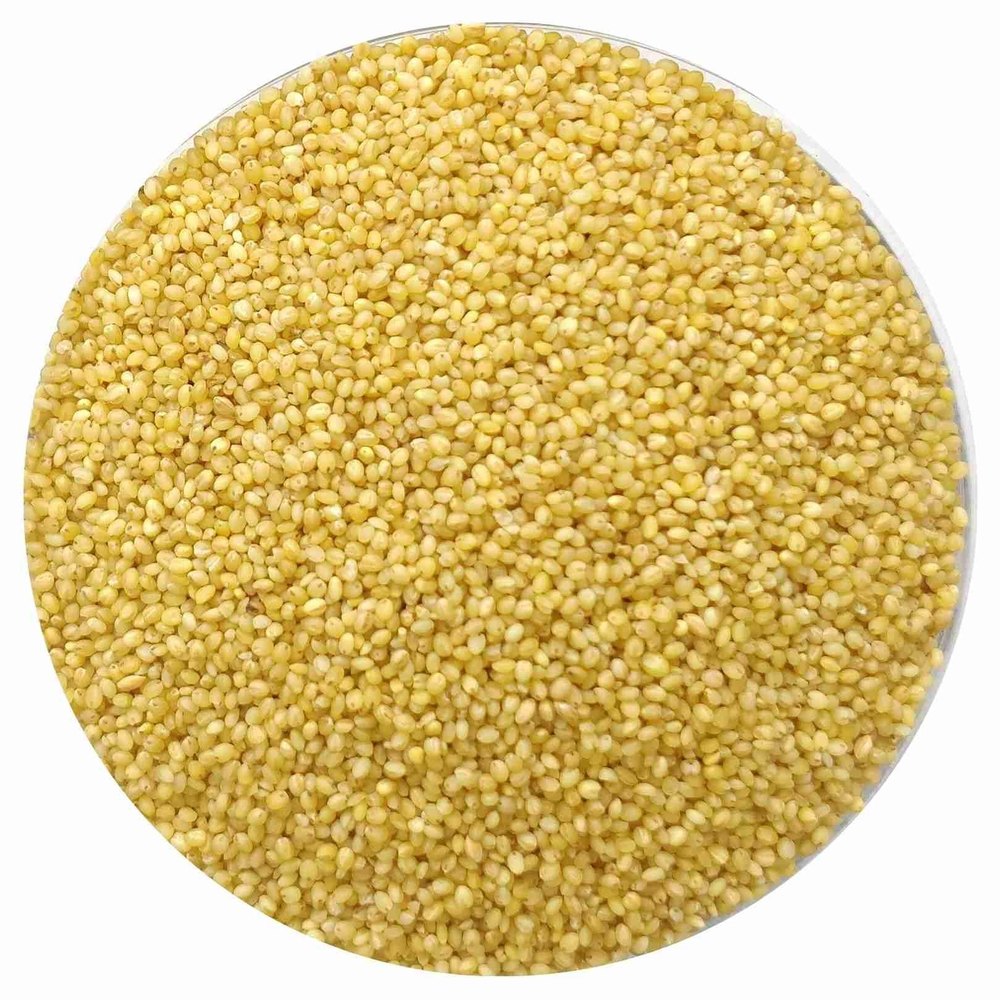 Organic Foxtail Millet Rice, For Cooking