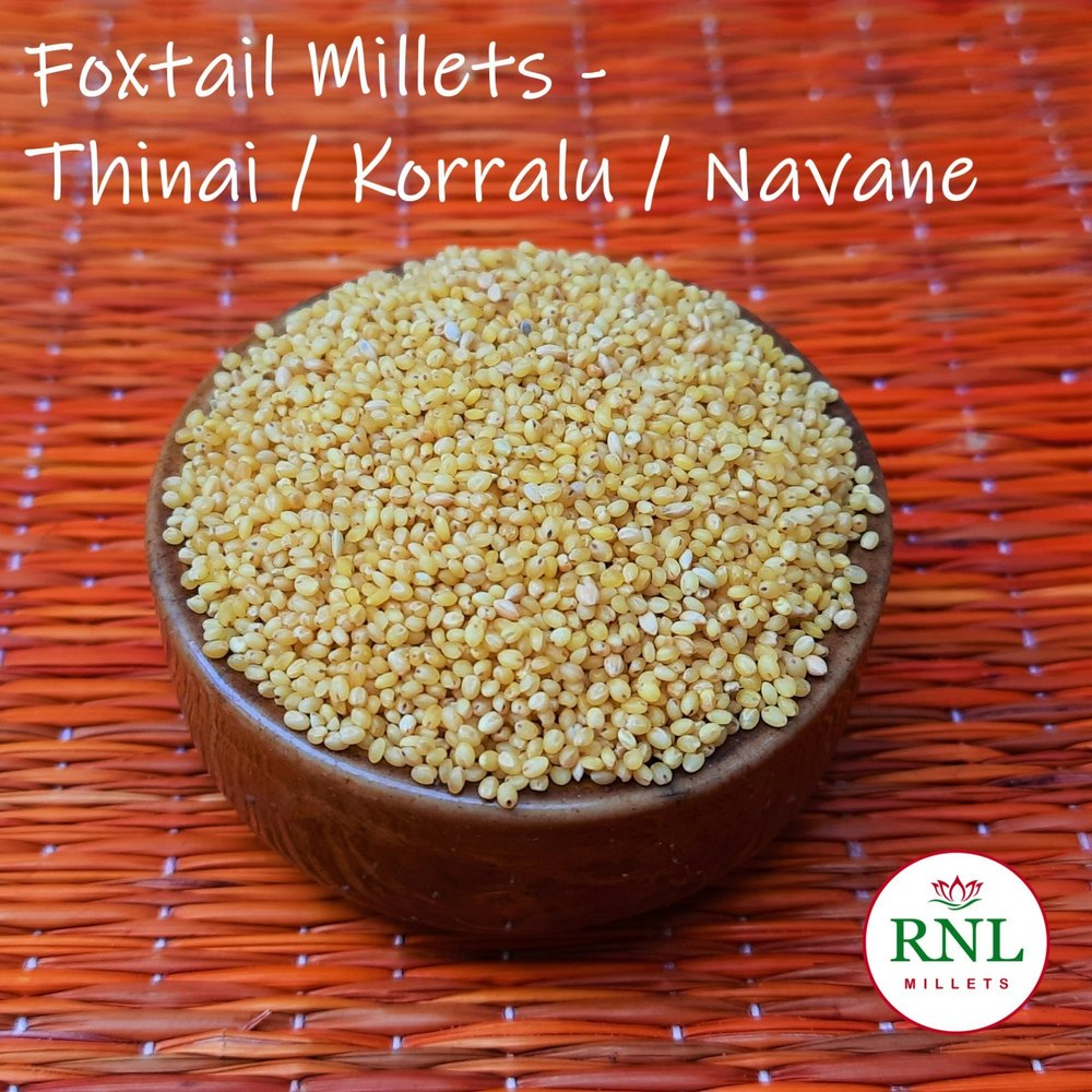 Green Foxtail Millet Thinai, Packaging Size: 25 Kg, High in Protein