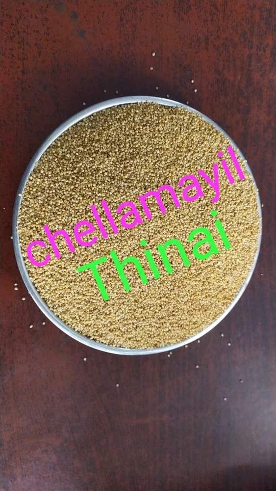 25 Thinai foxtail millet, Packaging Size: 25kg Bag, Gluten Free