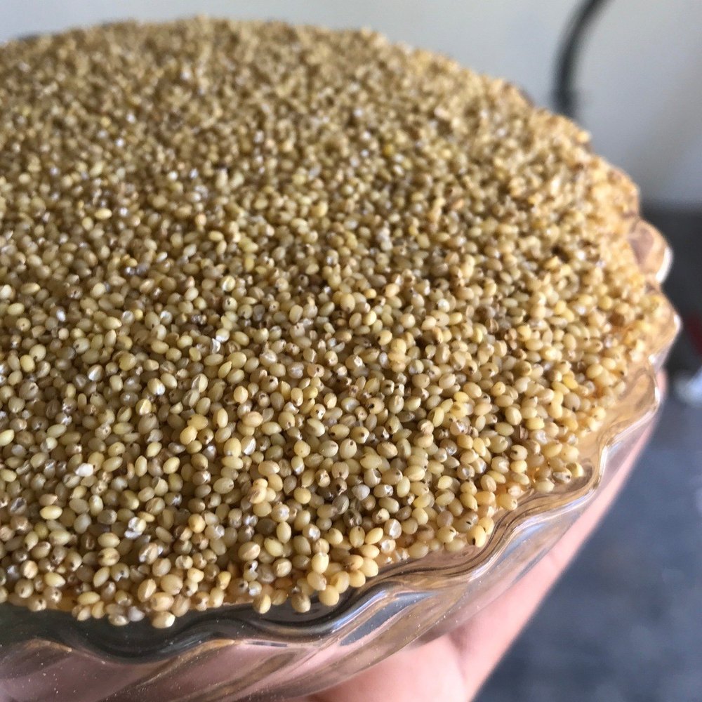 Foxtail Millet - Unpolished, Gluten Free