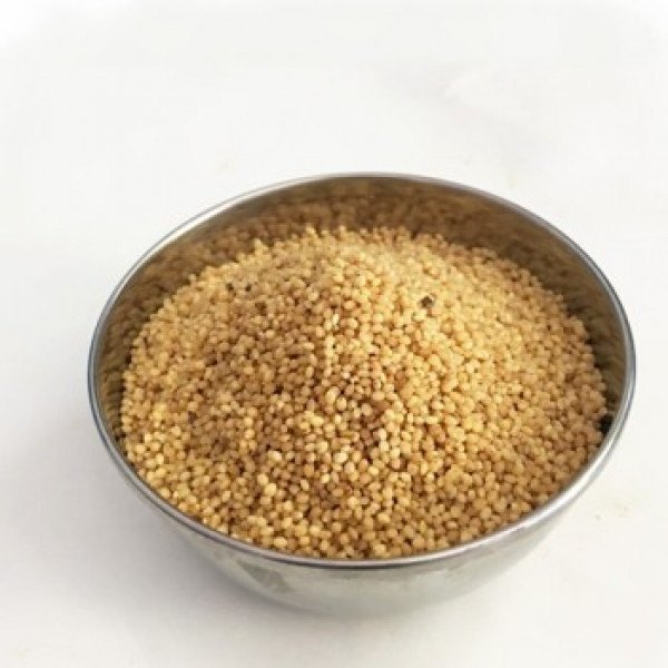 900 Brown KANGNI SEEDS(FOXTELL), Packaging Size: 30kg-50kg, High in Protein