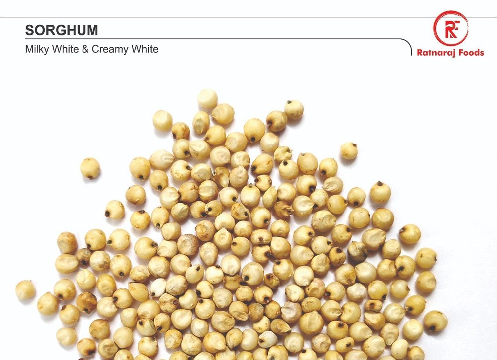 Ratnaraj Foods White Sorghum