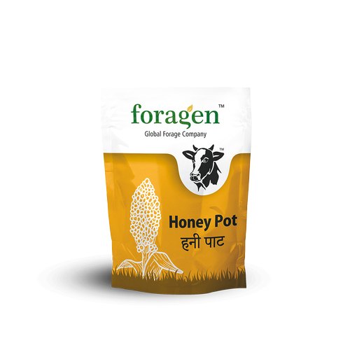 Hulled Fodder Sorghum