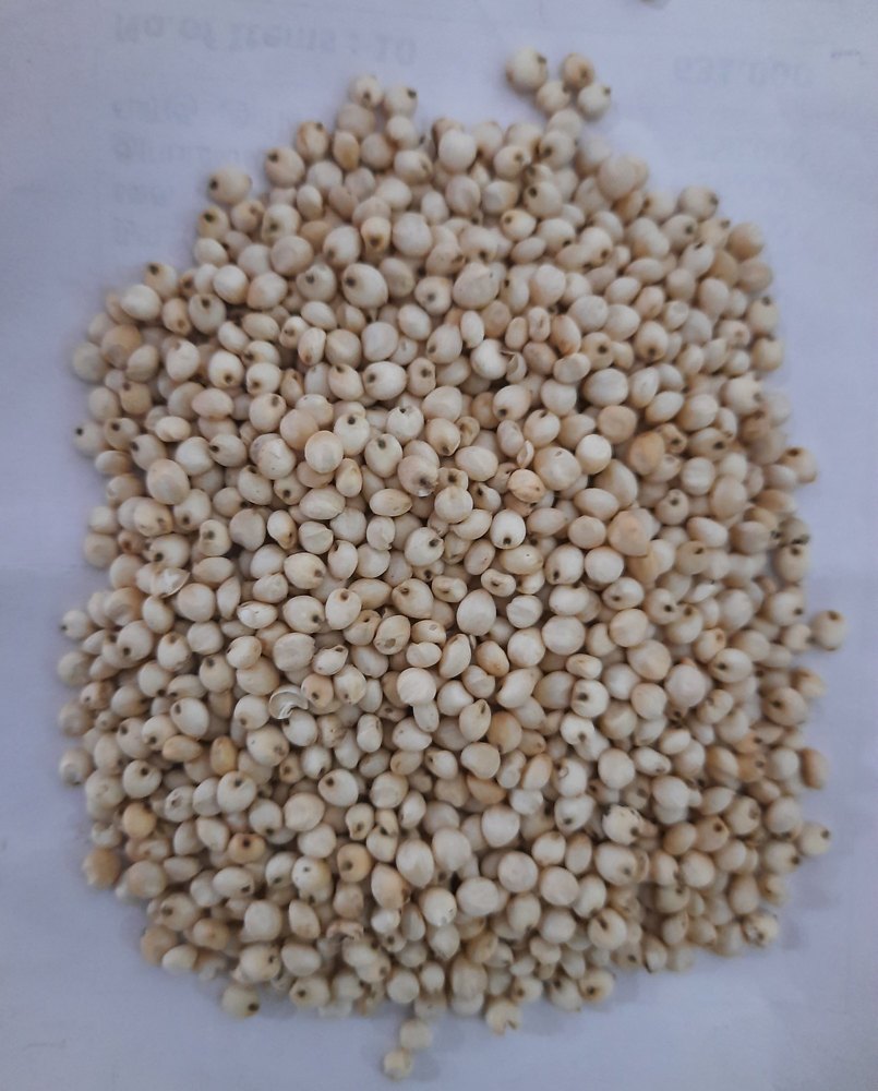 White Solam, Organic