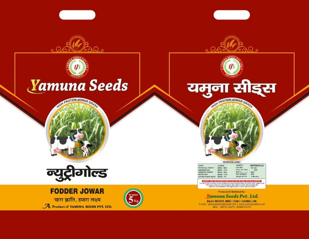 Nutrigold Sorghum Seed, For Agriculture, Pack Size: 5 kg
