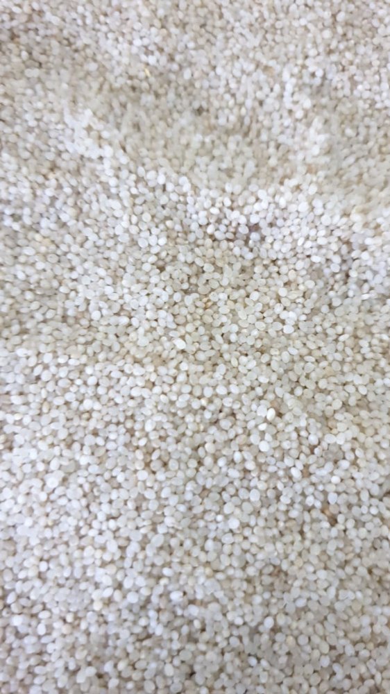 Barnyard Millet, Packaging Size: 50 Kg, High in Protein