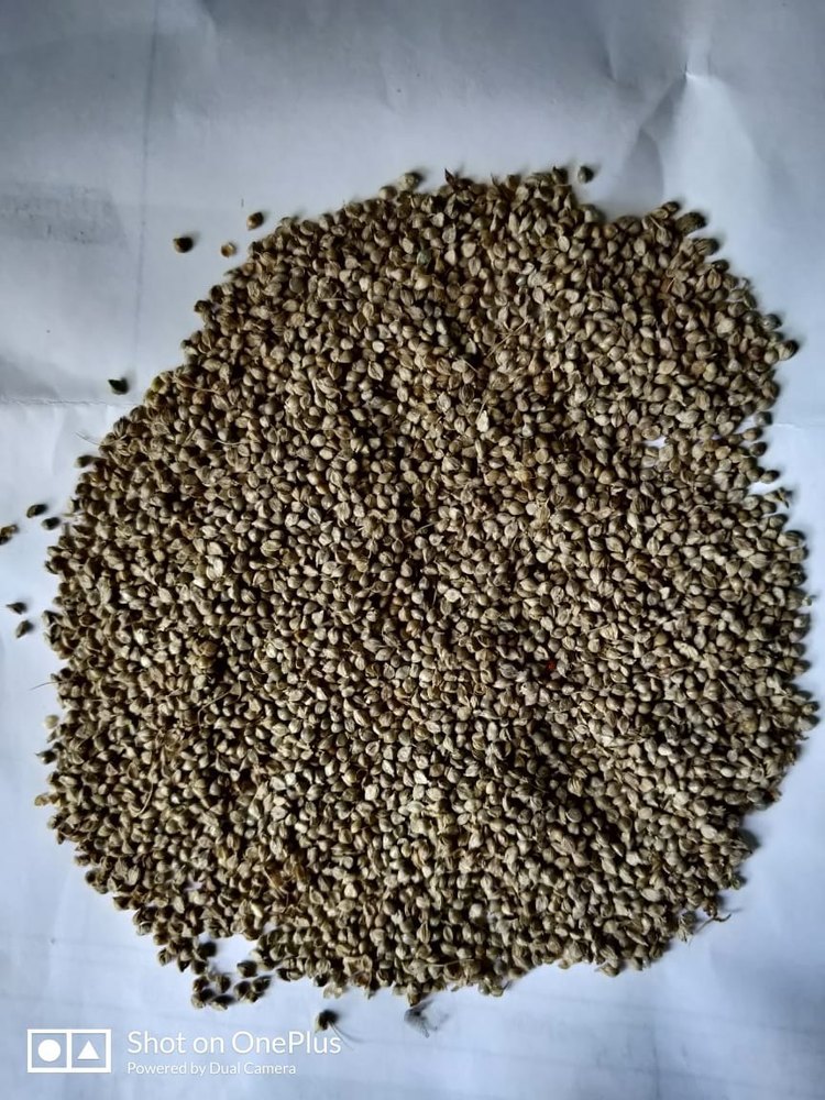 PP Bag Kuthiraivali Barnyard Millet, Packaging Size: 50 Kg
