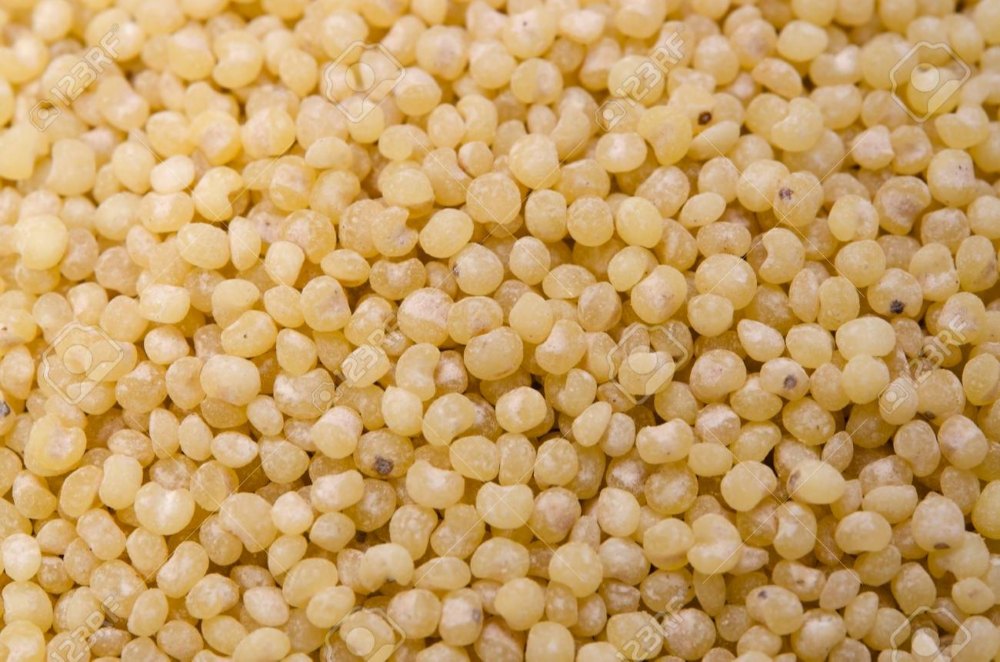 wholesale Indian Barnyard Millet, Gluten Free, Packaging Type: Poly Sacks