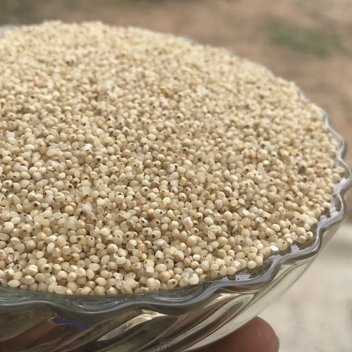 Barnyard Millet - Unpolished, Gluten Free