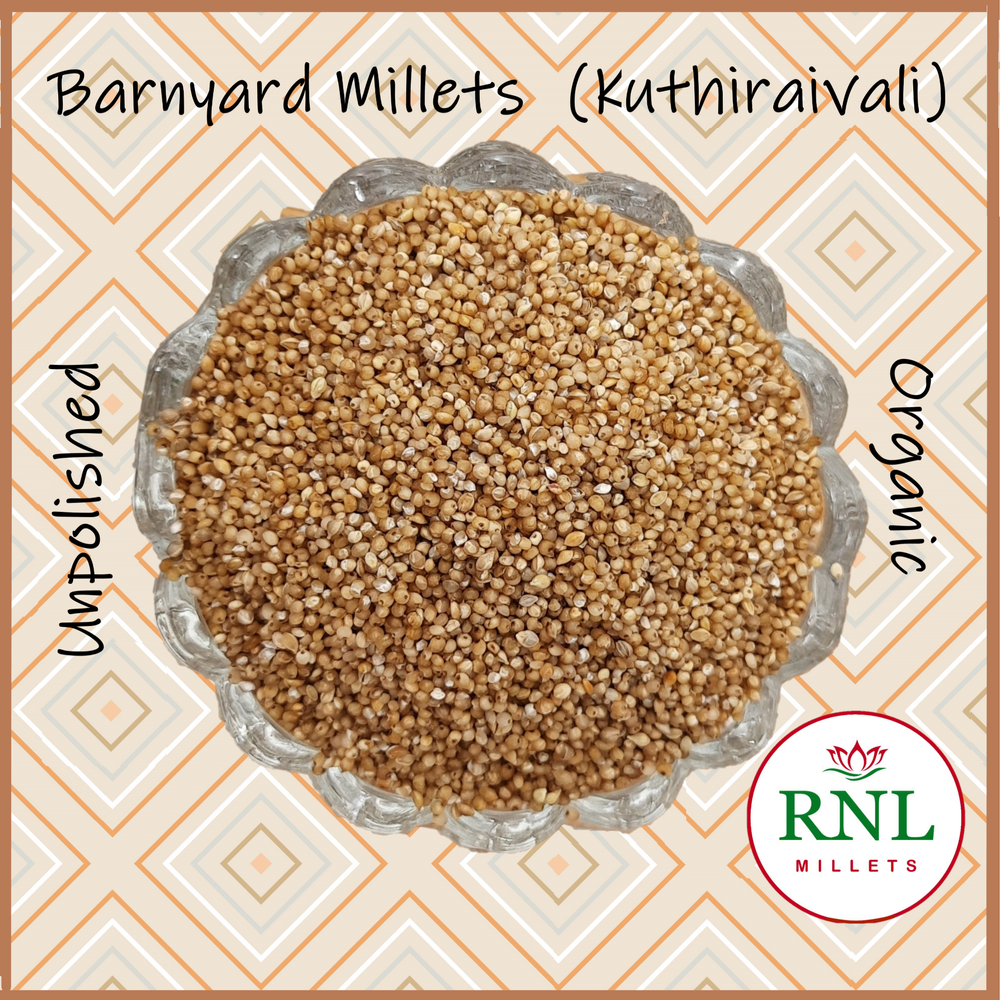 Brown Unpolished Barnyard Millets, High in Protein