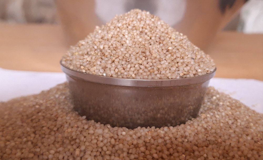 theni thaniyam Kuthiraivali Barnyard Millet, High in Protein