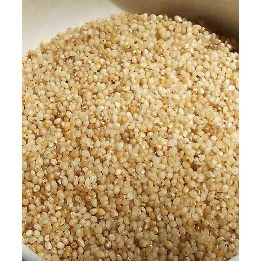 Greenish white Unpolished Sortex Barnyard Millet