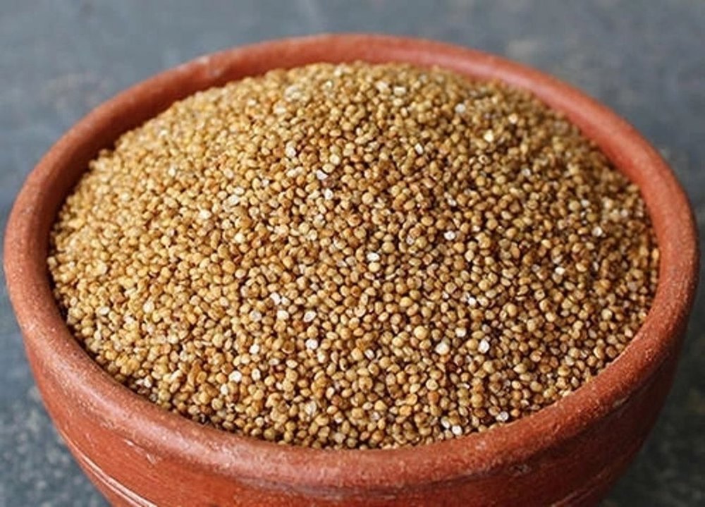 Brown Barnyard Millet Kuthiraivali Rice, High in Protein