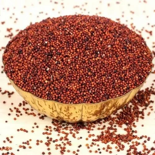 Powder Flour Seeds Ragi Seed, Packaging Size: 50Kg, 500 gm
