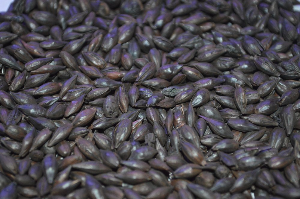 Roasted Barley Malt