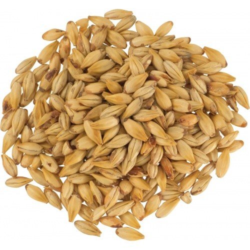 Malting Barley