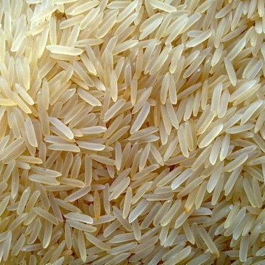1509 Golden Basmati Rice, Packaging: 50 kg