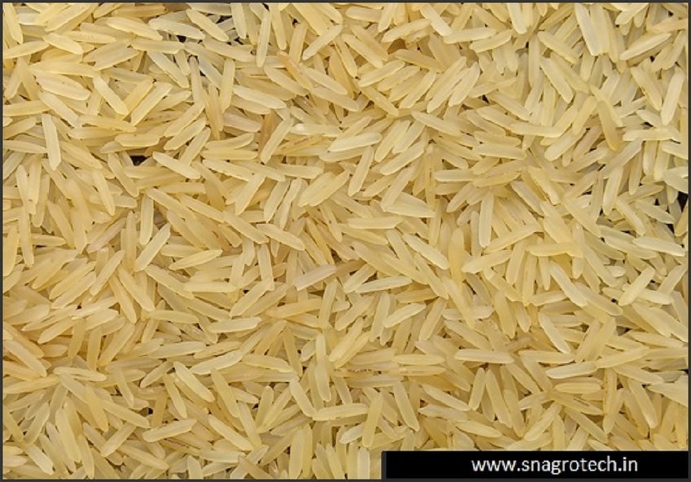 1509 Golden Sella Basamati Rice