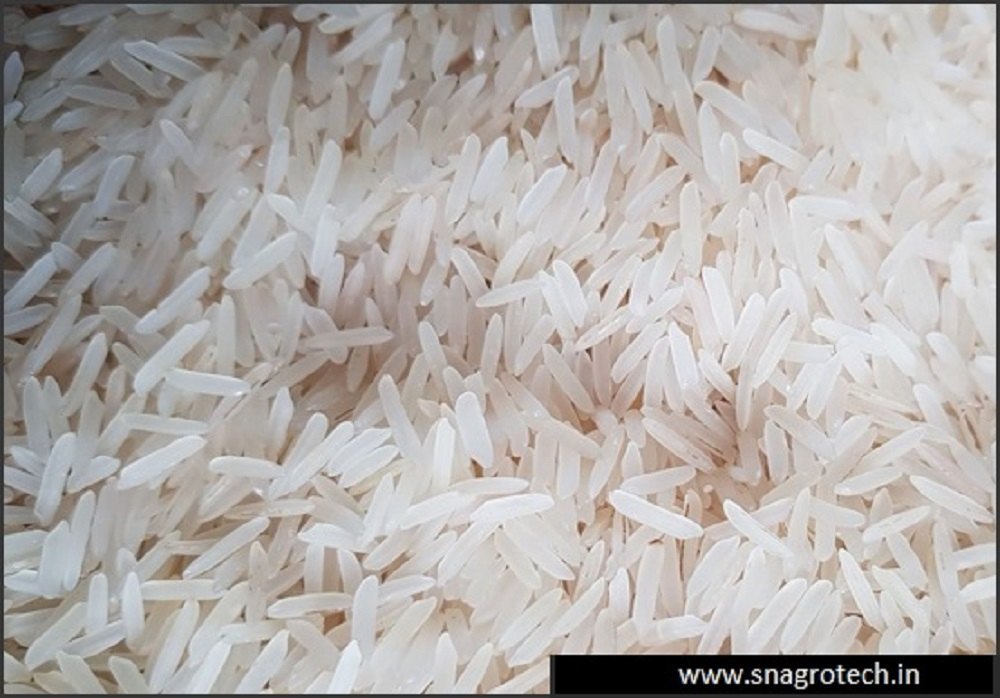 1401 White Sella Basmati Rice, Loose