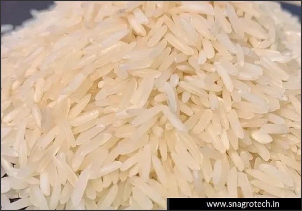 Sharbati Steam Basmati Rice