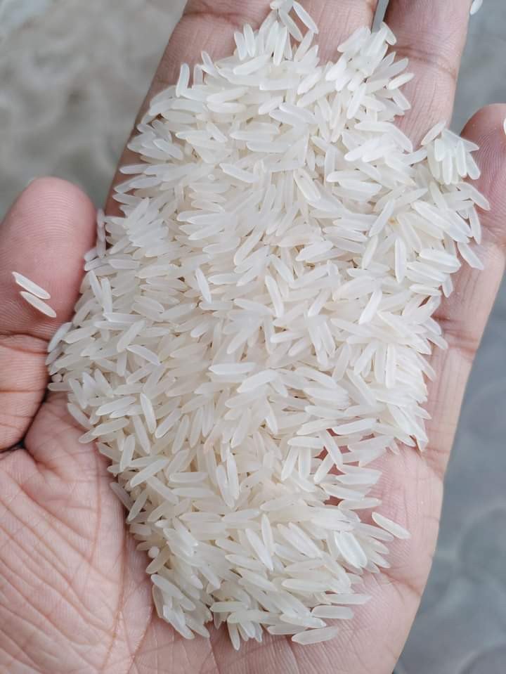 Sarbati white shella basmati, 25 kg