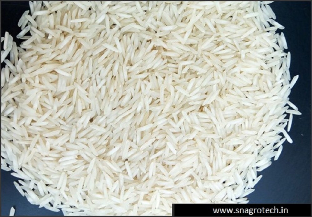 1509 White Sella Basmati Rice