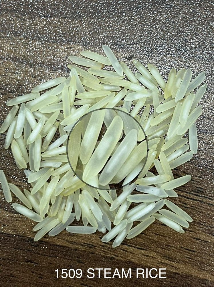 Basmati Rice, Bag, 25, 50 KG