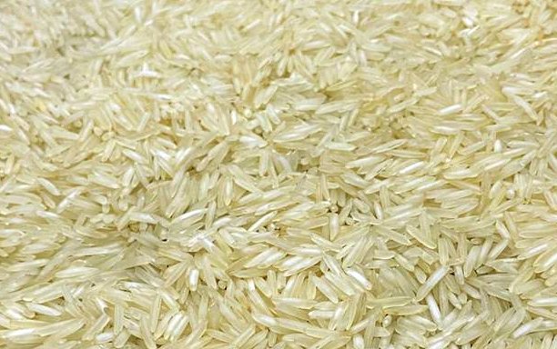 Sanjivani Creamy White Sella Basmati Rice, Punjab, Packaging Size: 25 Kg