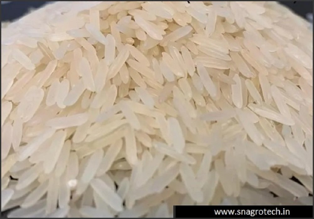 Sugandha White Sella Basmati Rice, Loose