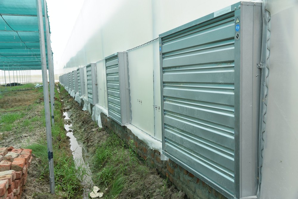 Greenhouse Ventilation Fan, Size: 1000x1000 mm