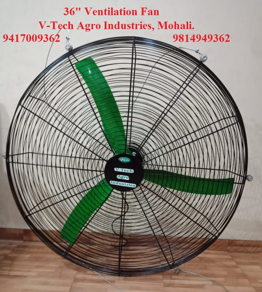 Poultry Fan, Round