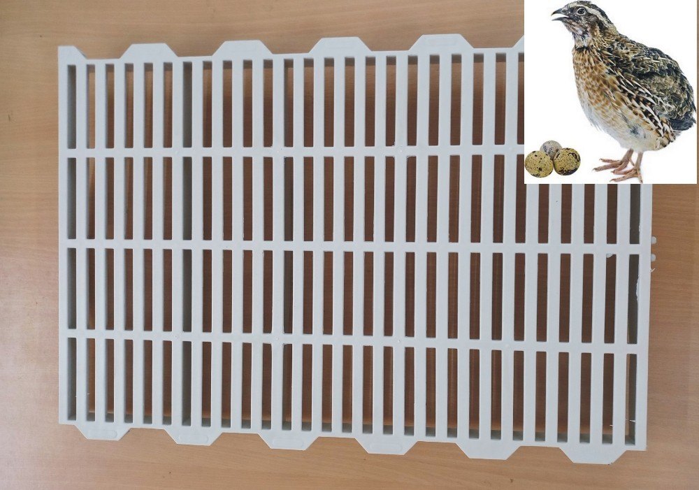 Quail Farm Flooring