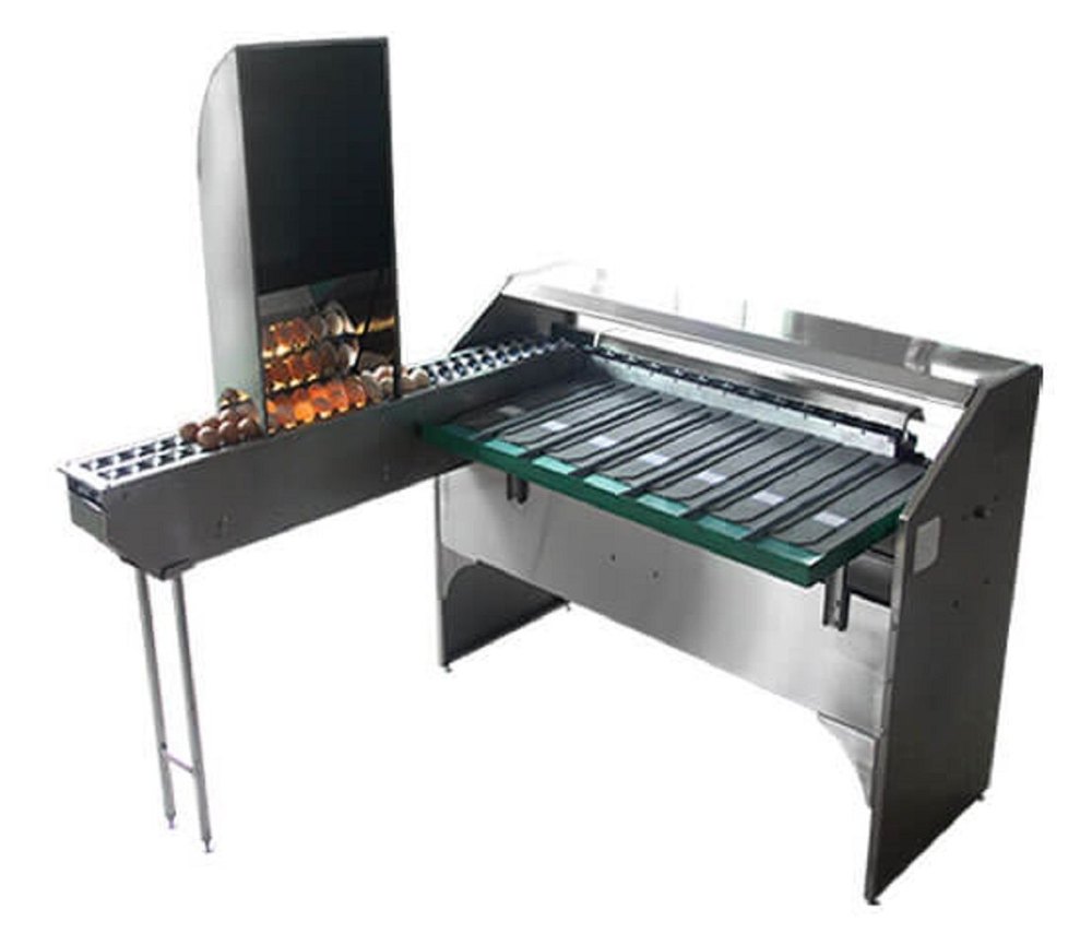Egg Grader Machine