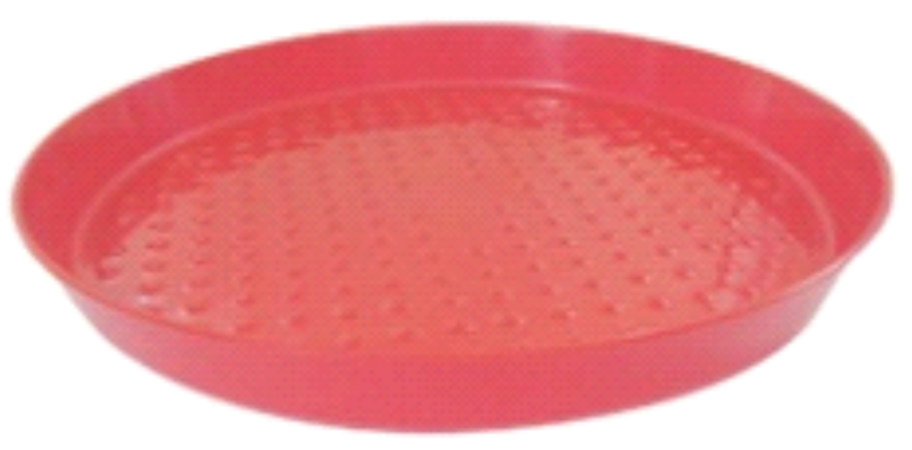 Chick Feeding Tray