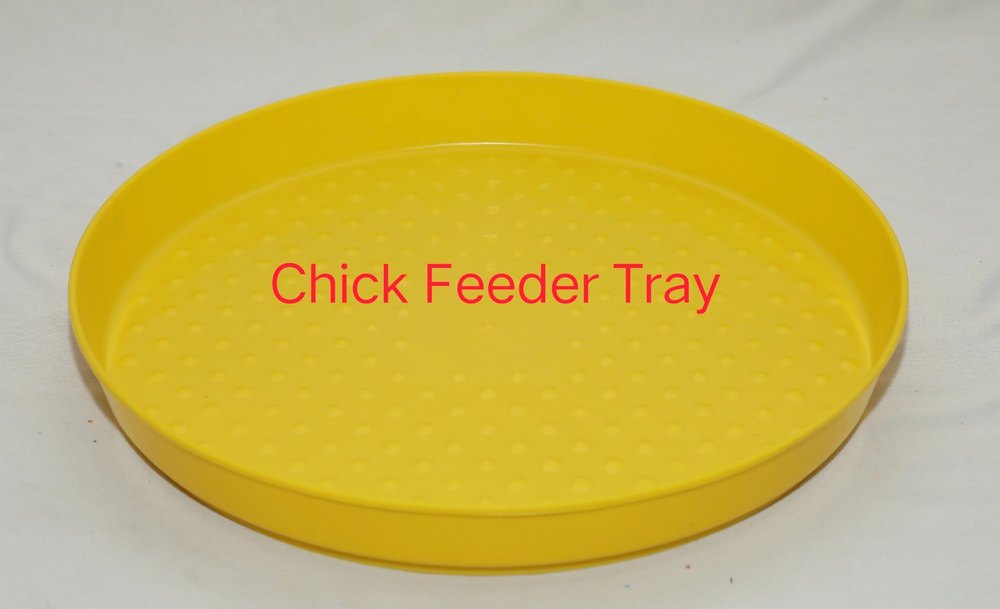 Chick Feeder Tray