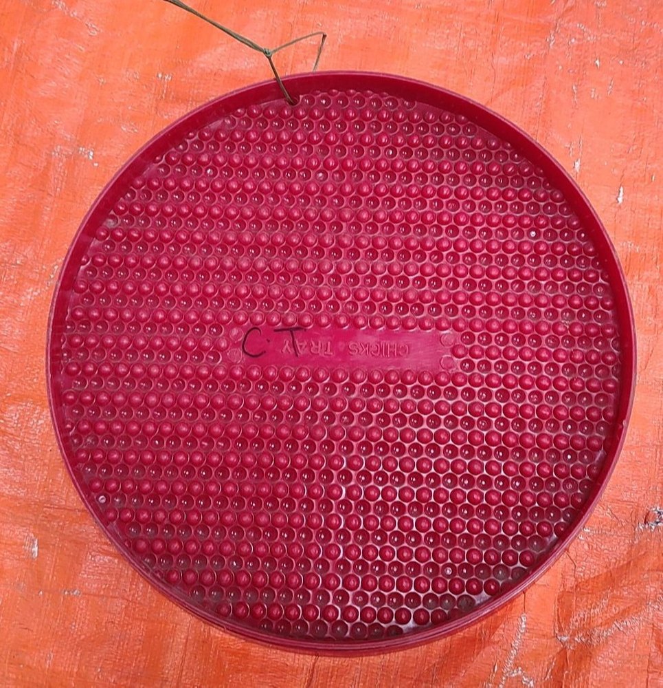 Poultry Feeder Trays
