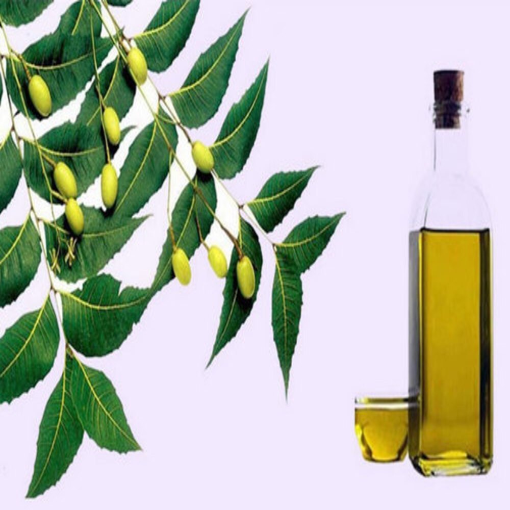 Neem Carrier Oil