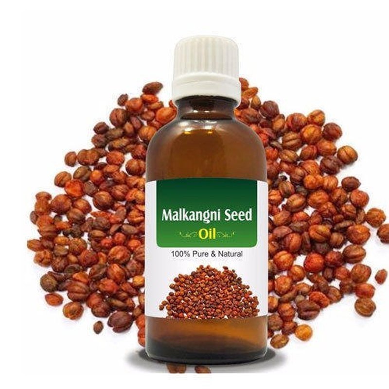 Malkangni Seed Oil
