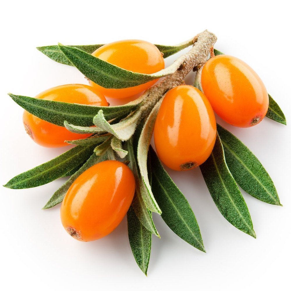 Himrishi Herbal Sea Buckthorn Berry Extract, Packaging Size: 1-25 Kg, Pack Size: Bags