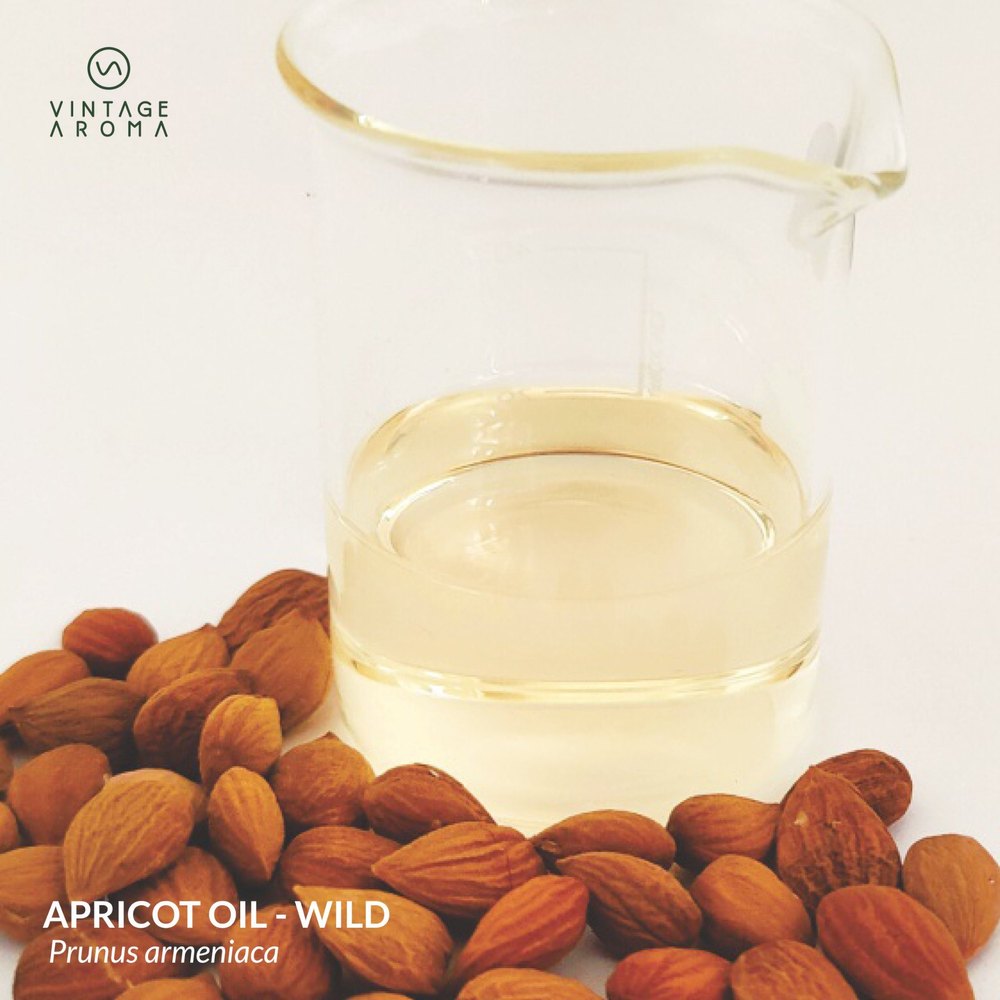 Vintage Aroma Cold Pressed Apricot Oil, Packaging Size: 500 ml