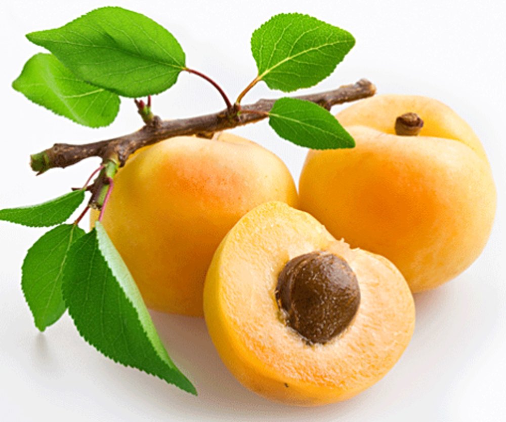 Prunus Armeniaca Skin Care Fresh Apricot Kernel Oil, For Pharma