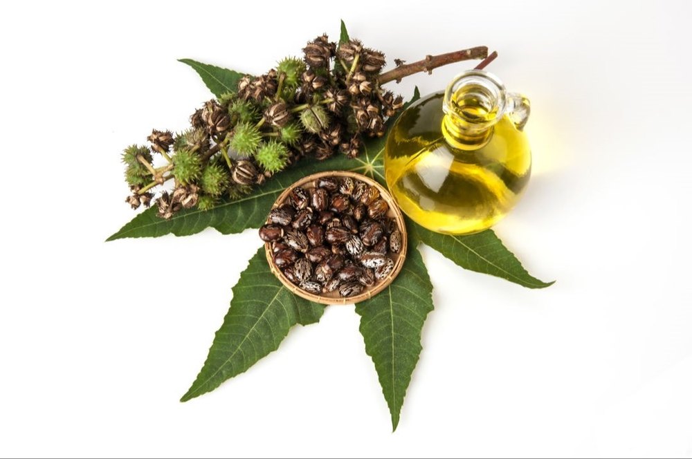 Cold Pressed Castor carrier Oil, For Aromatherapy