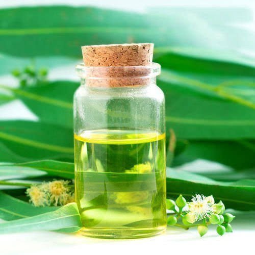 Eucalyptus Globulus Oil
